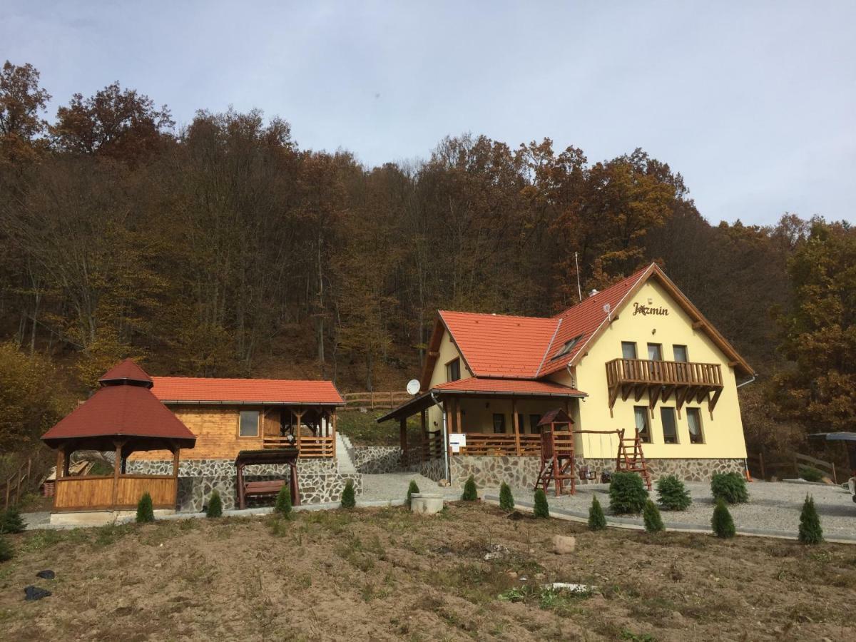 Jazmin Agropensiune Zetea Bagian luar foto